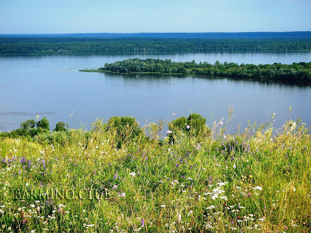 сайт 7).jpg